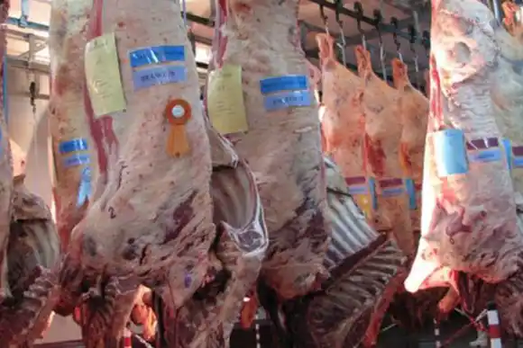 AFIP desarticuló una evasión de más de $13 millones en la exportación de carne bovina a China