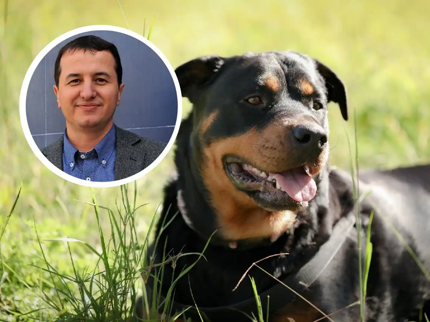 El proyecto, que pasó a comisión, involucra a razas específicas, consideradas agresivas