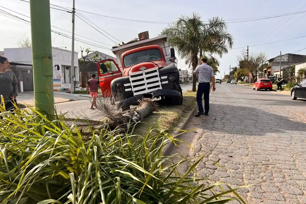Un camión chocó y arrancó una palmera del Boulevard Pedro Jurado