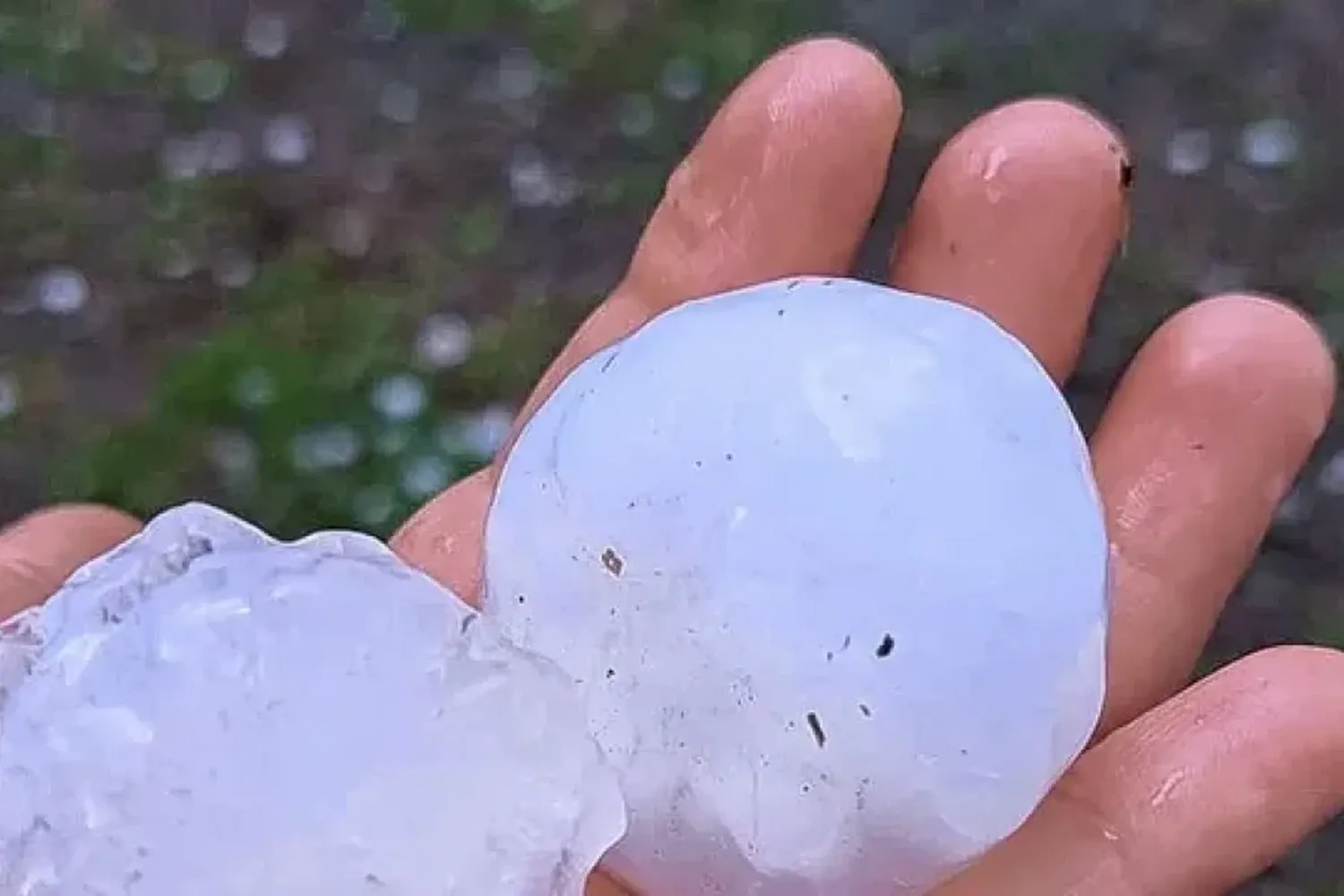 Una fuerte granizada con piedras de gran tamaño cayó en Helvecia durante esta mañana