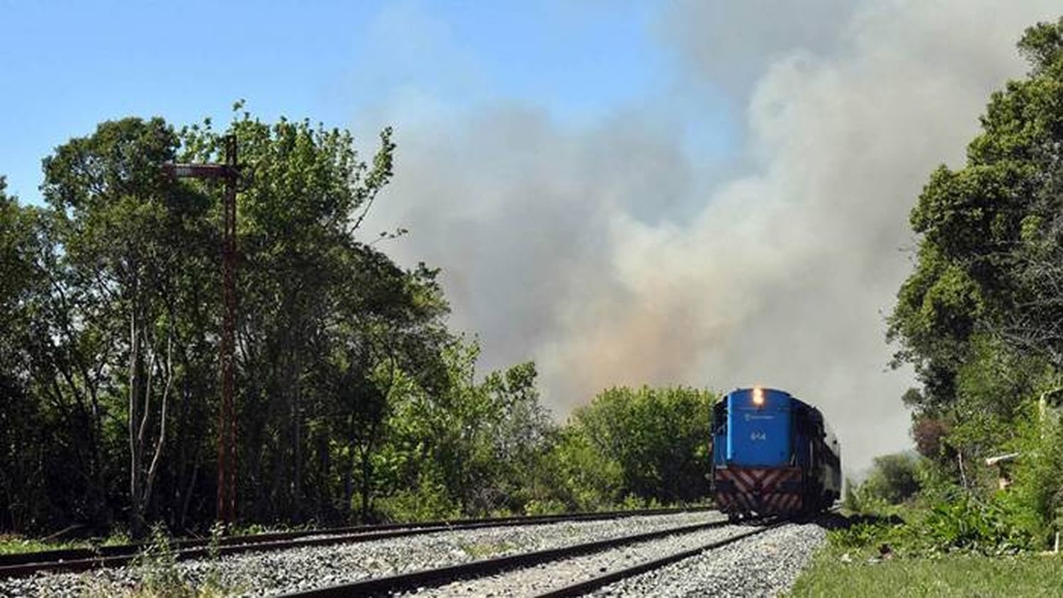 Combaten un incendio en el Parque Nacional Ciervo de  los Pantanos