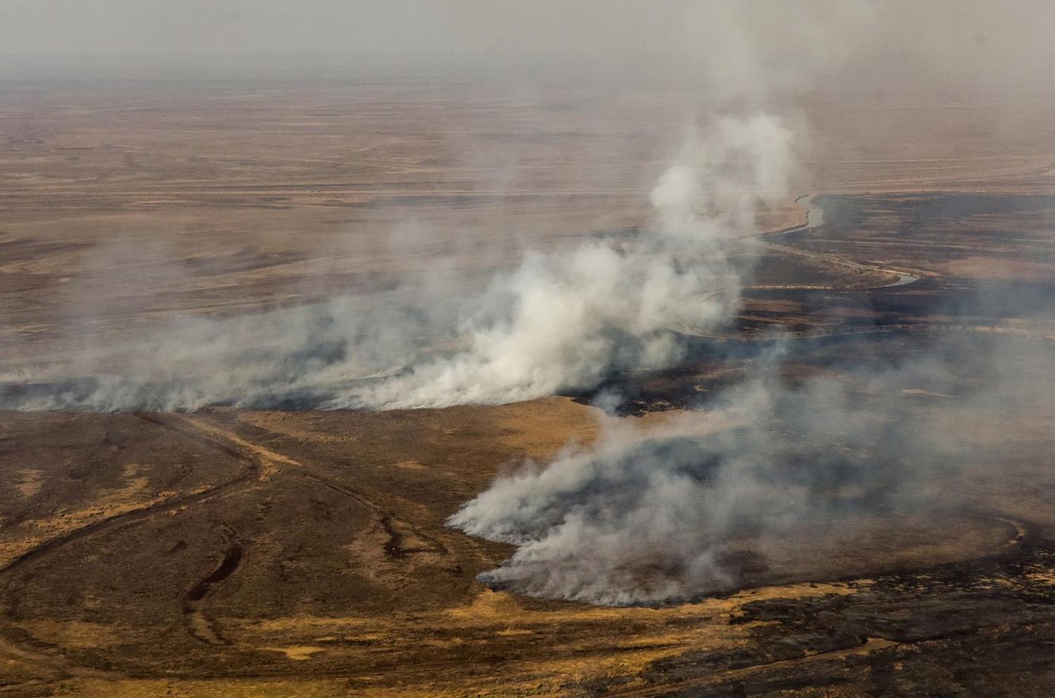 Incendios en el Delta: Ambiente presentó cautelar en la Justicia para aplicar sanciones