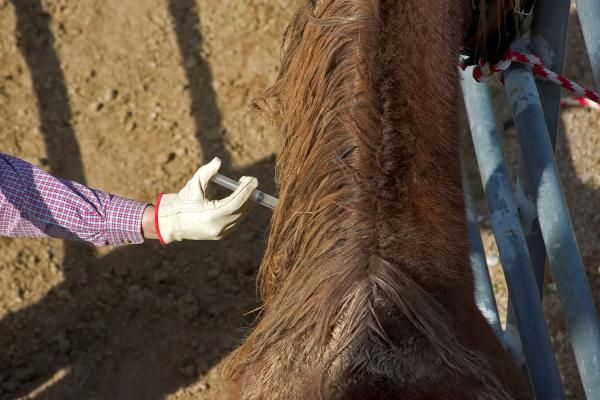 Se analizan doce casos en Entre Ríos. Casos confirmados en Santa Fe y Corrientes