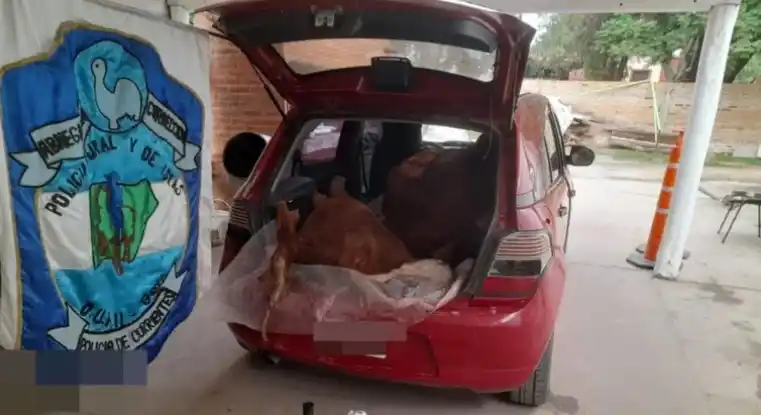 Corrientes: detuvieron a un expolicía por vender carne cuatrereada