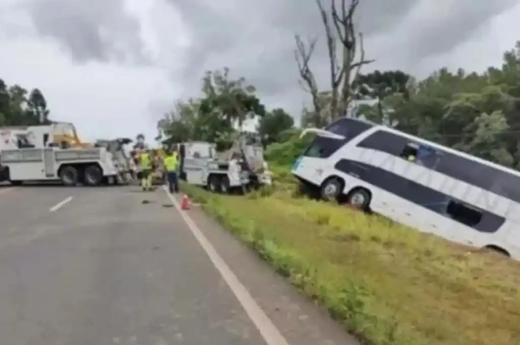 Quiénes eran los 5 argentinos que murieron en el micro que se accidentó en Brasil