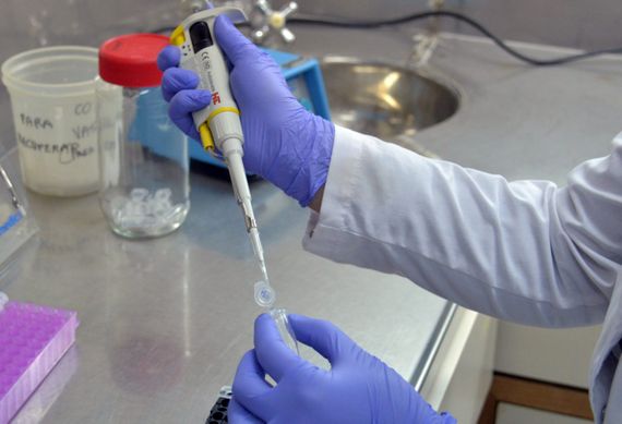 Se registraron 48 nuevos contagios y no hubo fallecidos