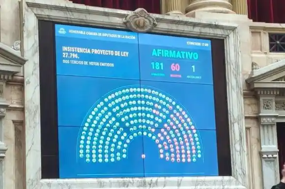 Diputados repusieron la Emergencia Pediátrica