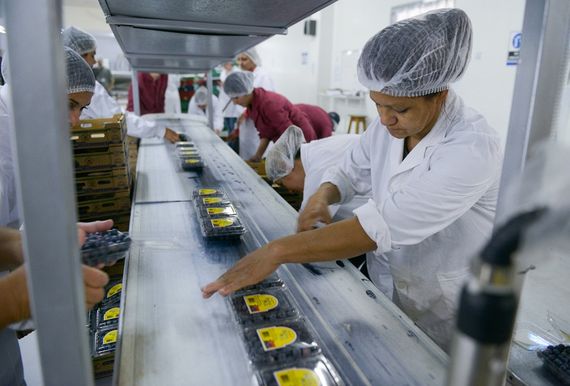La producción PYME volvió a caer en junio