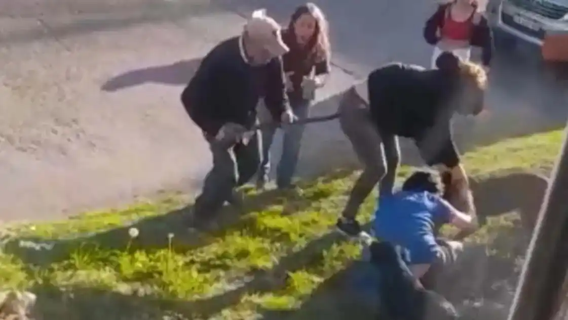 Pitbull “con antecedentes”: El perro ya atacó a dos personas en Bahía Blanca