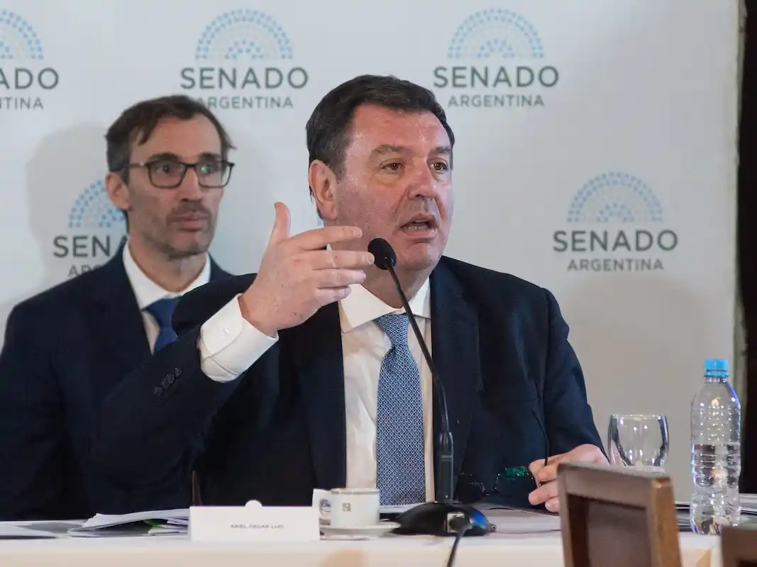 La candidatura de Ariel Lijo a la Corte Suprema tiene dictamen de mayoría en el Senado