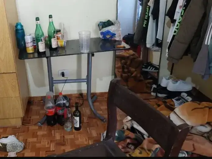 Un joven murió tras un ataque de viudas negras
