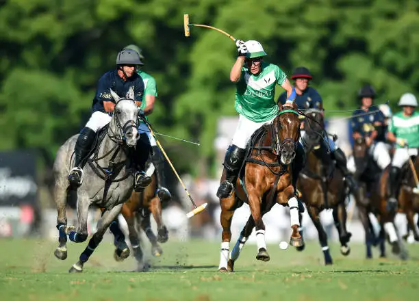 La Natividad, finalista en Tortugas