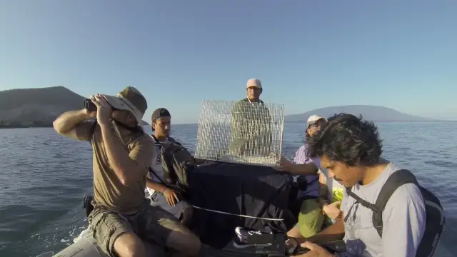 Un cineasta entrerriano en una misión de rescate ecológica en Galápagos