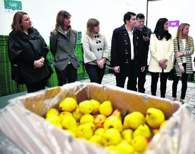 Recuperan alimentos y los entregan a los comedores