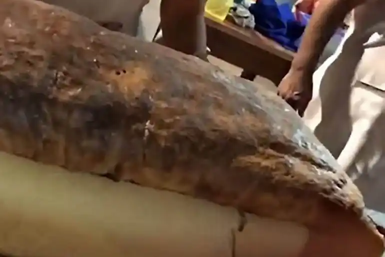 Video: elaboraron un pan casero de 3 metros de largo en Entre Ríos