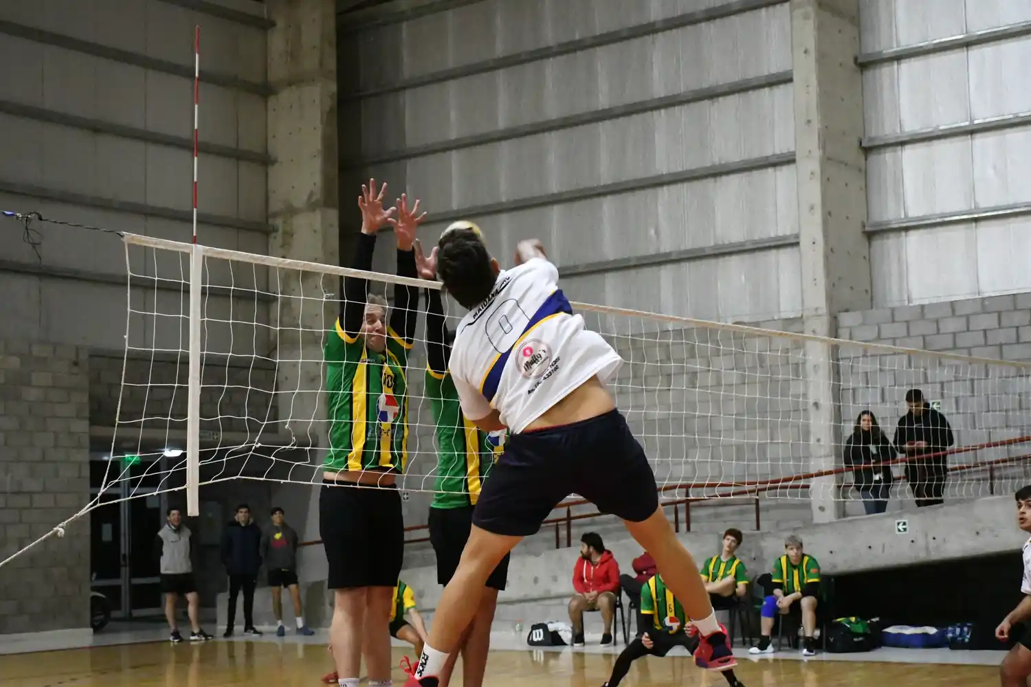 Vóley de Primera: el masculino cierra la fase regular y el femenino continúa su marcha