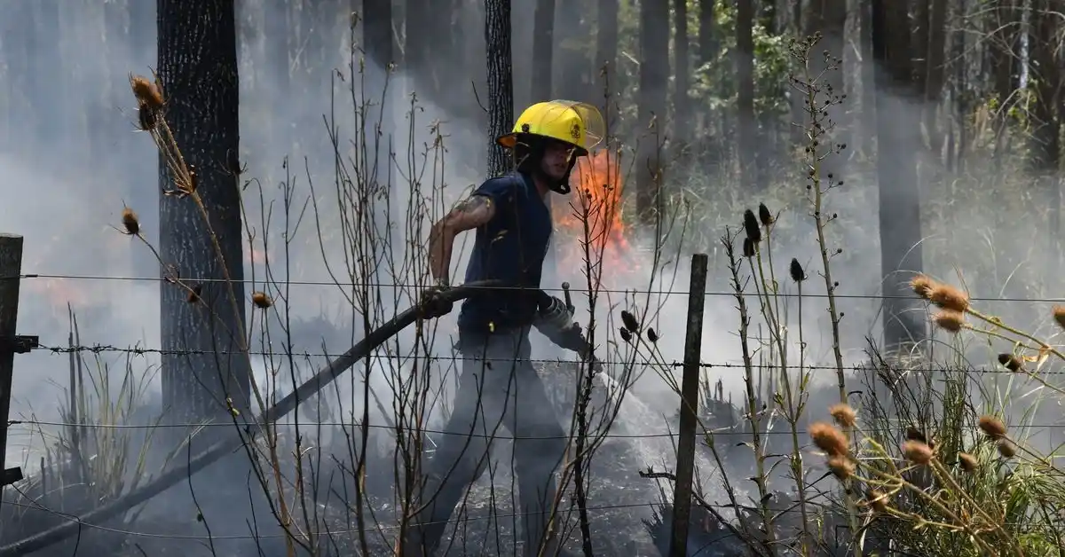 Incendios en toda la Provincia: Habitación de hotel, pastizales, campos, plantas de reciclado, bosques e islas