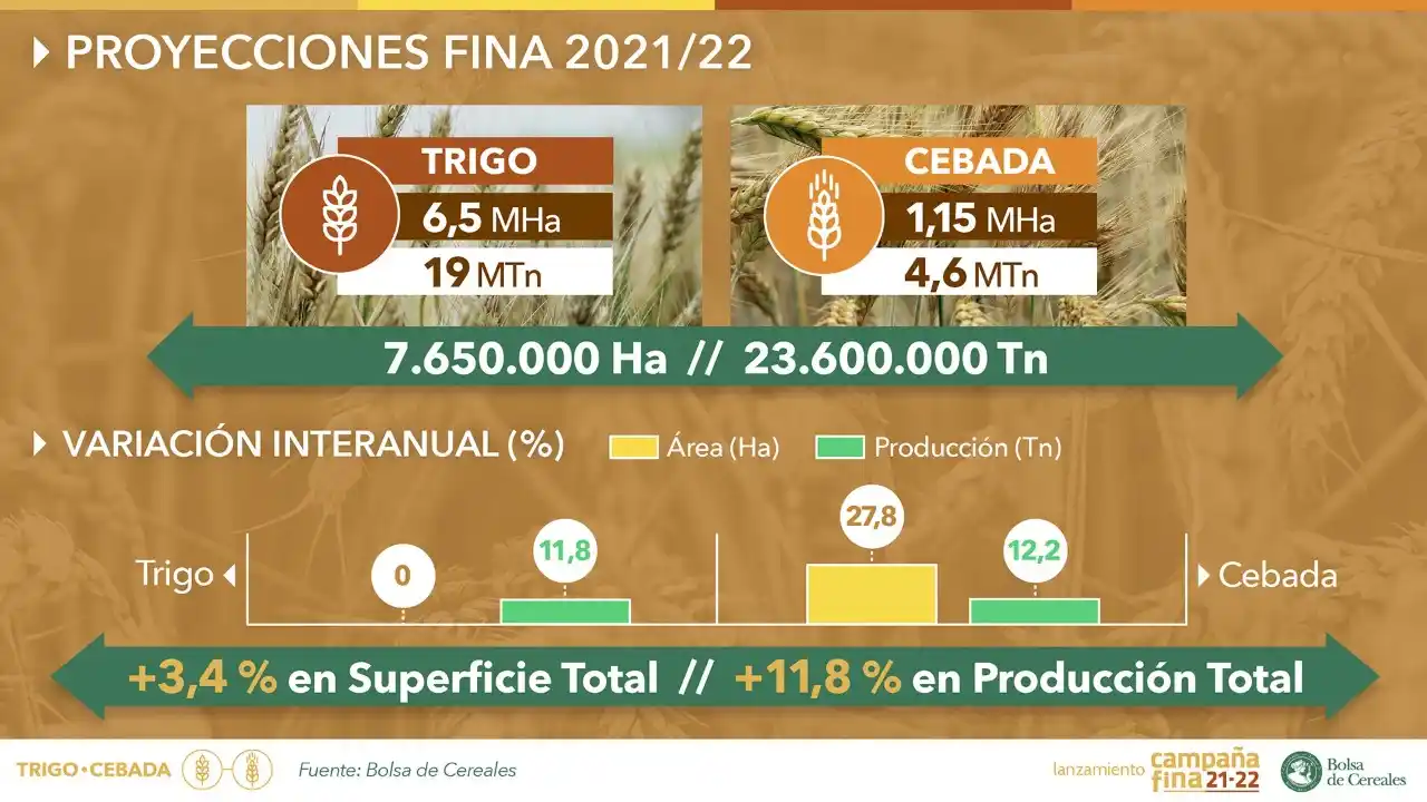 Se proyecta una producción récord de 23,6 millones de toneladas para la fina