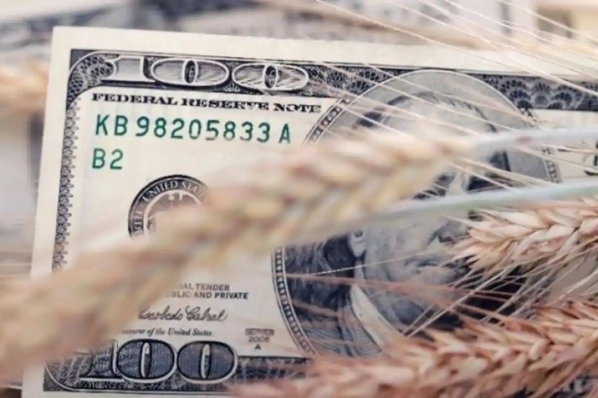 Esta iniciativa se suma a la reciente decisión del Gobierno de lanzar un nuevo dólar para las exportaciones de automóviles