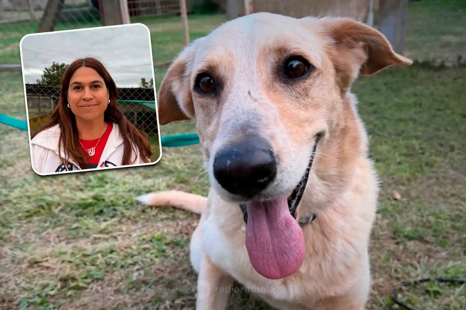 Cuatro historias, una última oportunidad: Tirso, Baltazar, Tano y Ringo