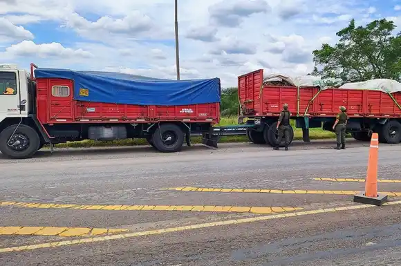 Detuvieron al conductor de un camión con cueros vacunos sin documentación en Ruta 11