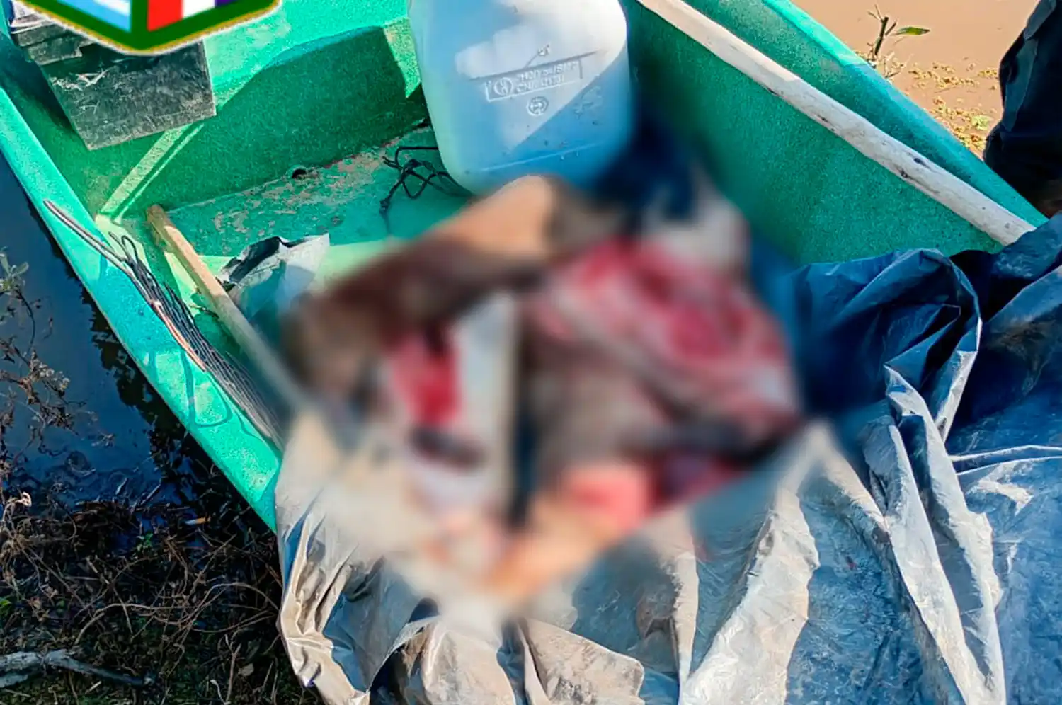 carpinchos faenados - 1