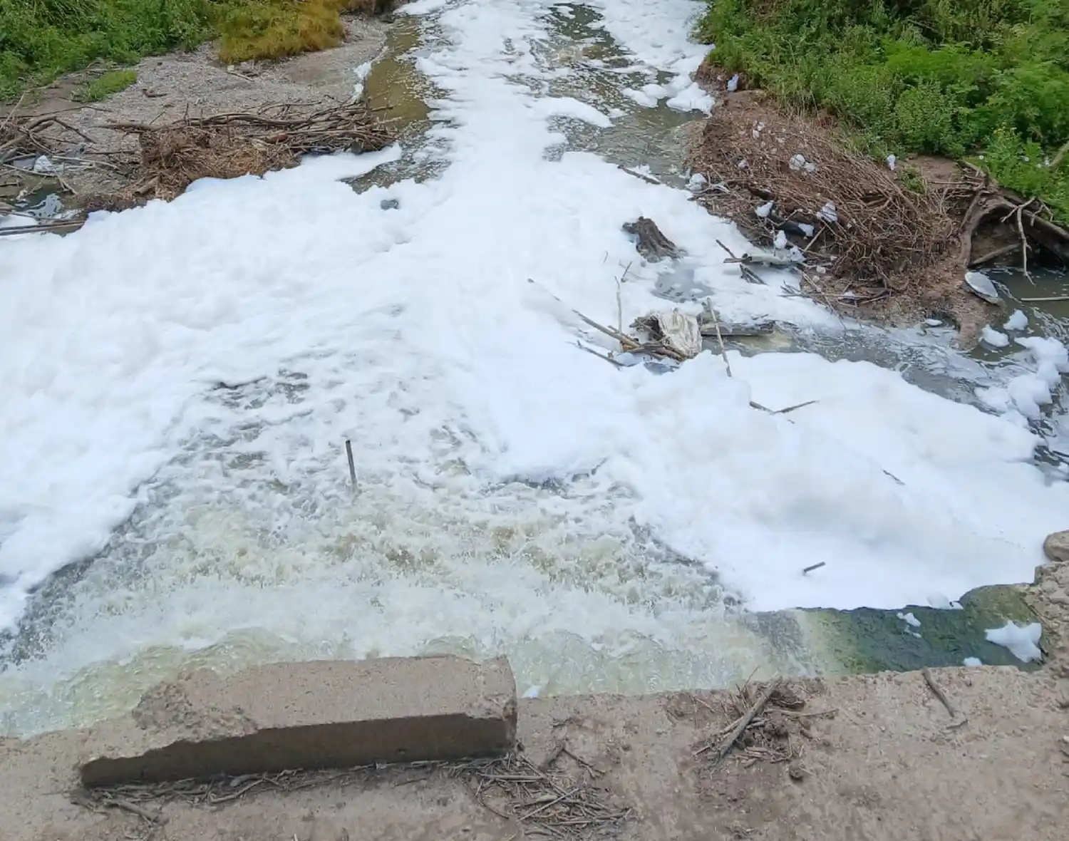 Grave situación de contaminación en el Parque San Martín: el arroyo Las Conchas, afectado por vertidos de efluentes