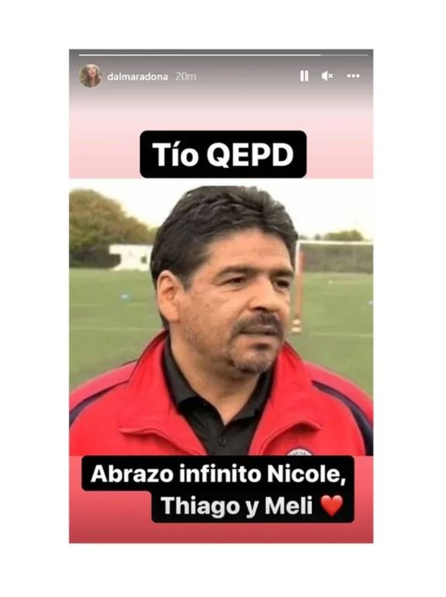 dalma hugo