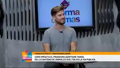 ¿Cómo impacta el programa "Adoptame Tandil" en la cantidad de animales sueltos en la vía publica?
