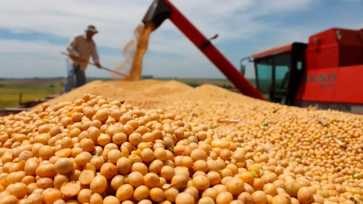 La producción de granos en Argentina creció en 50 millones de toneladas en los últimos 10 años