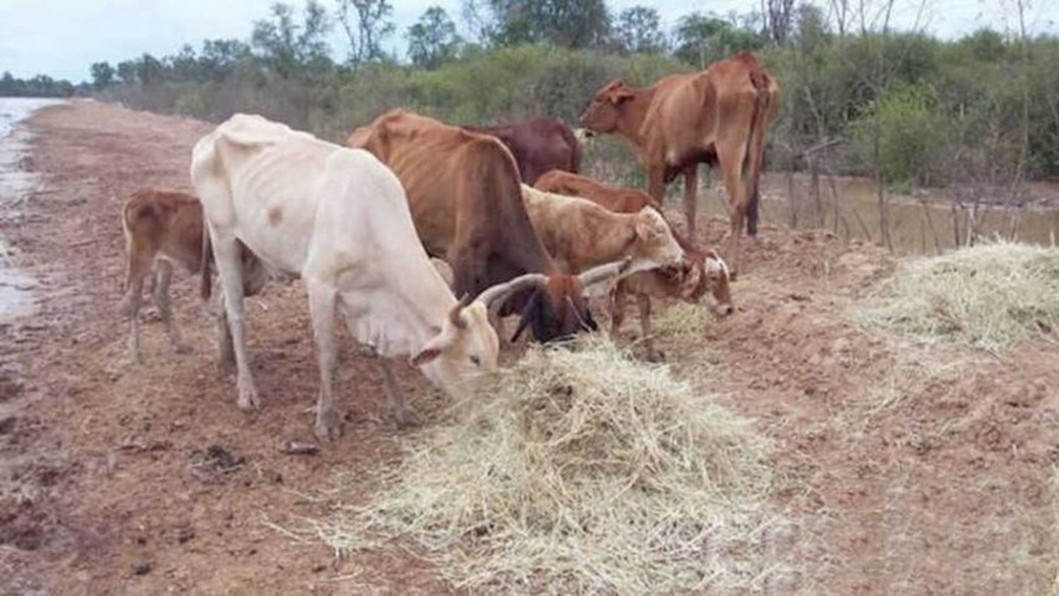 Emergencia agropecuaria: el ministro Quintana destacó la presencia del estado