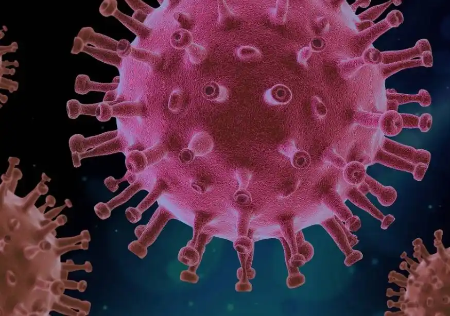 Coronavirus: OMS advierte “fuerte probabilidad” de que surjan cepas más peligrosas