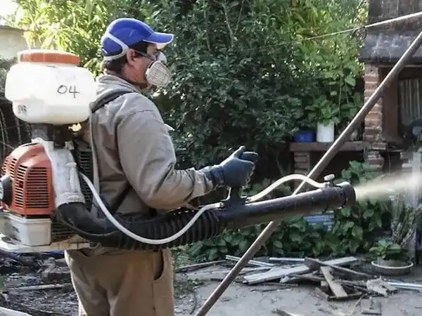 La semana cerró con un aumento en los casos de 
dengue y sin modificaciones en los de covid-19