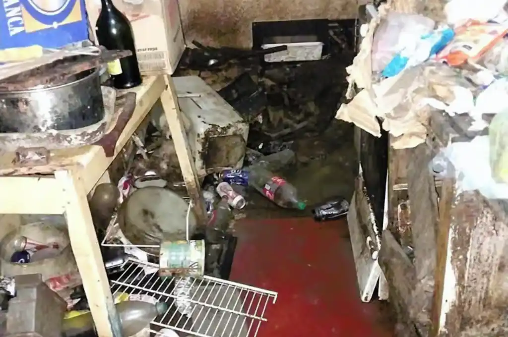 El lugar donde vivían los animales rescatados en el operativo.