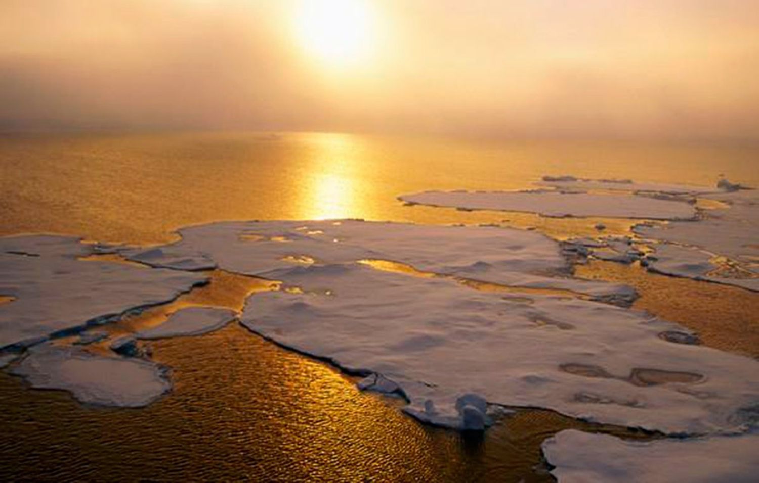 Aseguran que el Ártico se calienta dos veces más rápido que el resto de la Tierra