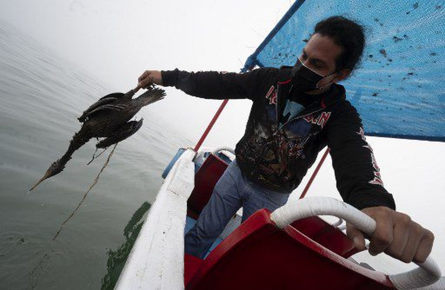 ¡CATASTRÓFICO! Perú declara «emergencia ambiental» a zona costera afectada por derrame petrolero
