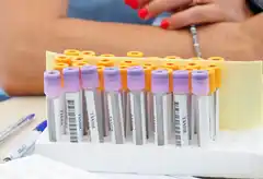 Estudiantes secundarios convocan a una jornada de donación de sangre