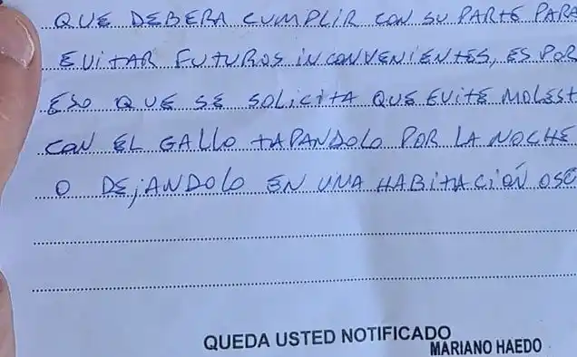 Insólito: En Pringles un vecino fue multado con casi 40 mil pesos por los ruidos de su gallo