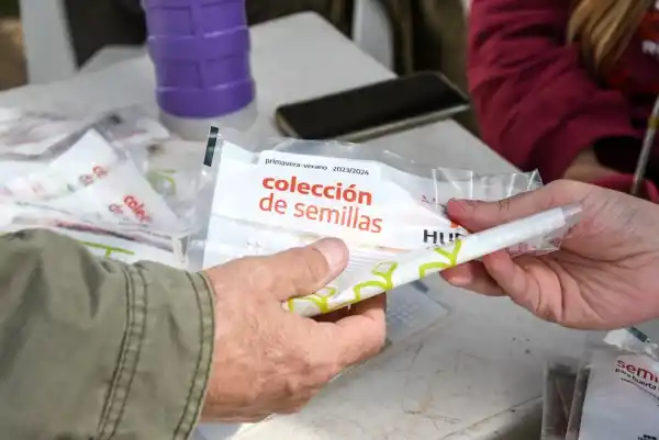 Comienza en nuestra ciudad la entrega de semillas temporada otoño-invierno del programa pro huerta