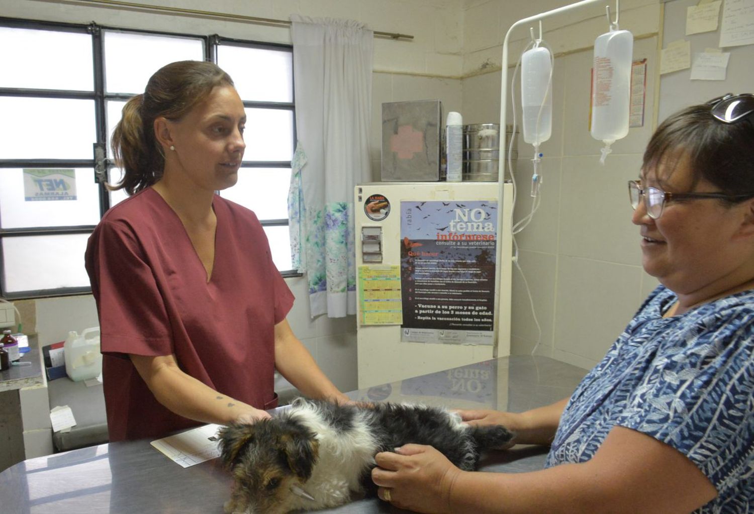 Desde que logró una sede propia, la Protectora de Animales ha atendido unos 26 mil pacientes