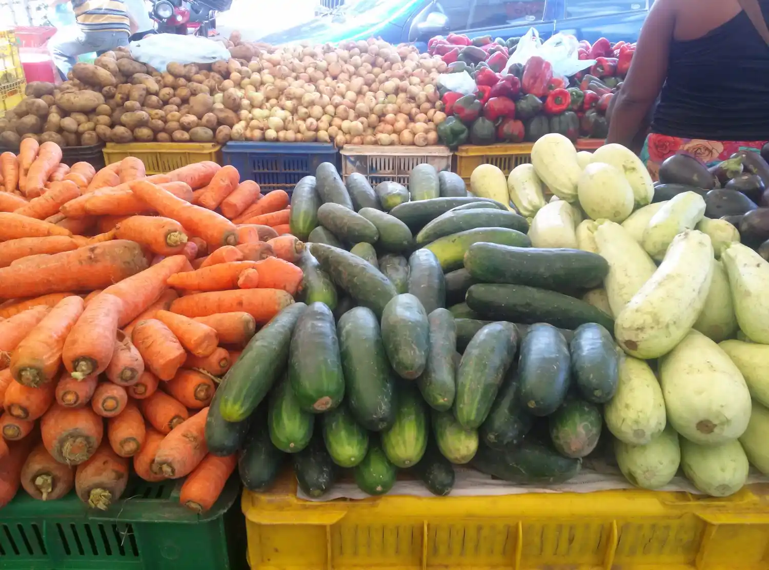 Casi 80 mil toneladas de alimentos perdidas por escasez de diésel