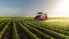 El ánimo del campo reflejó cautela en un clima político decisivo a días de las elecciones