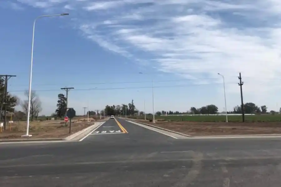 Preocupación en una ciudad de la región: la Provincia envió 200 árboles, el Municipio no los plantó y sospechan que se hayan perdido