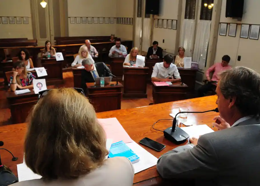 La oposición apoya el proyecto de  Nicolini para suspender la suba del alumbrado público