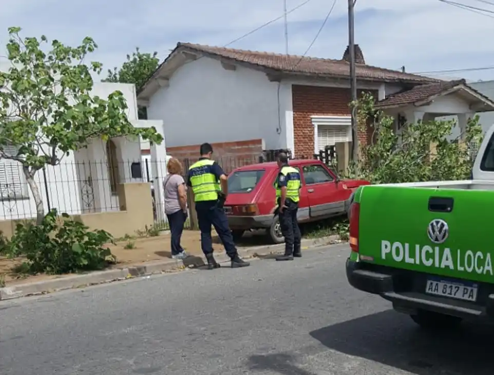 Aceleró de golpe, se subió a la vereda y tiró un árbol