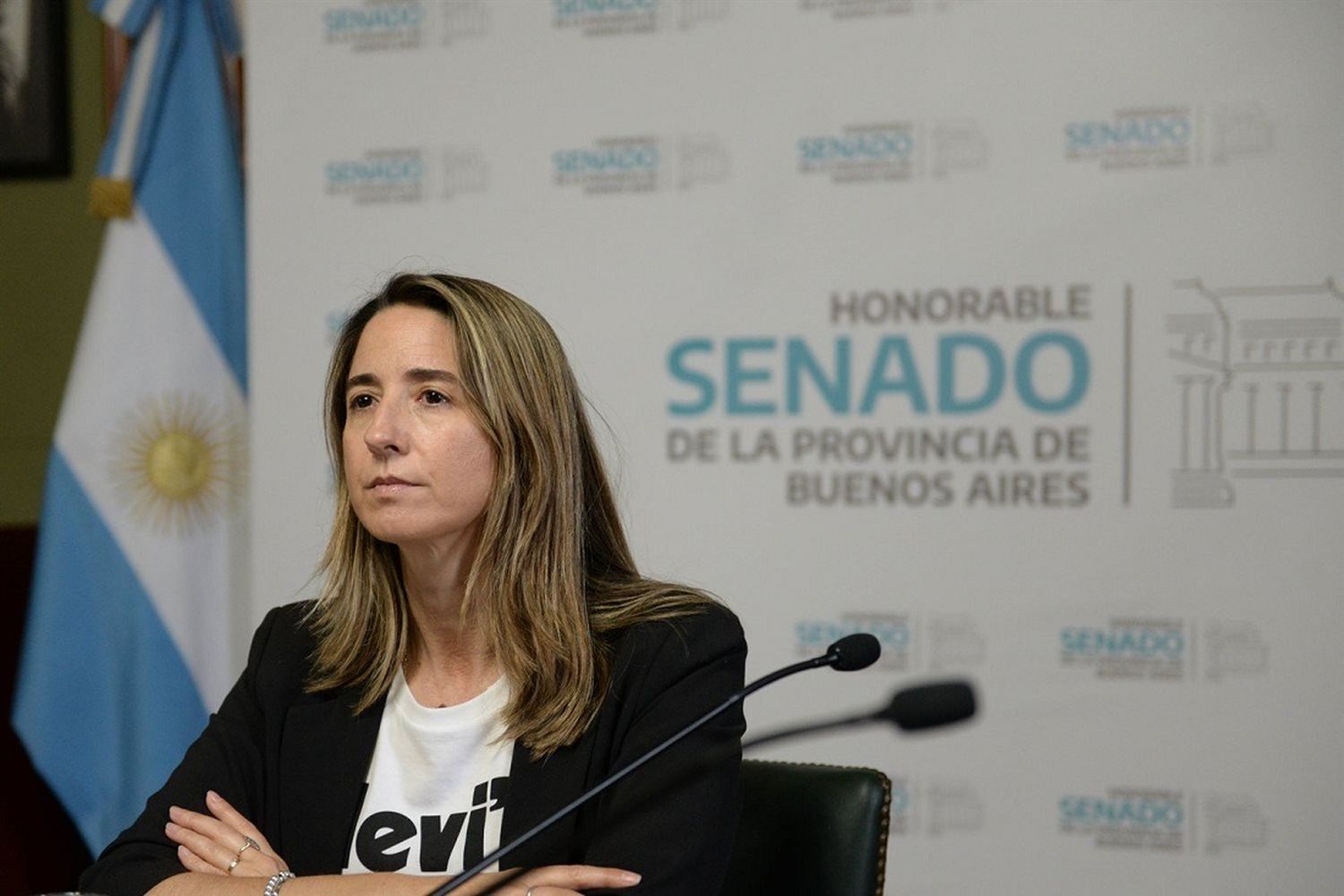 Denunciaron a la senadora Delmonte por corrupción: El descargo de la legisladora bonaerense