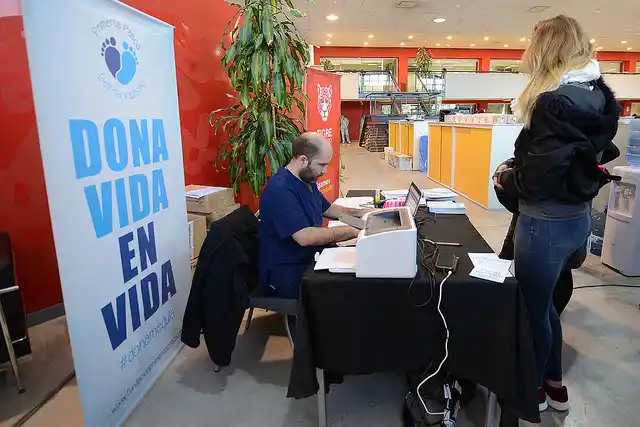 Tigre impulsa una campaña de donación de médula ósea