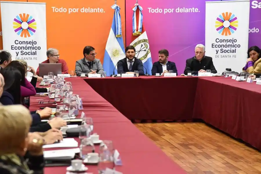 El gobernador encabezó la asamblea plenaria del Consejo Económico y Social.