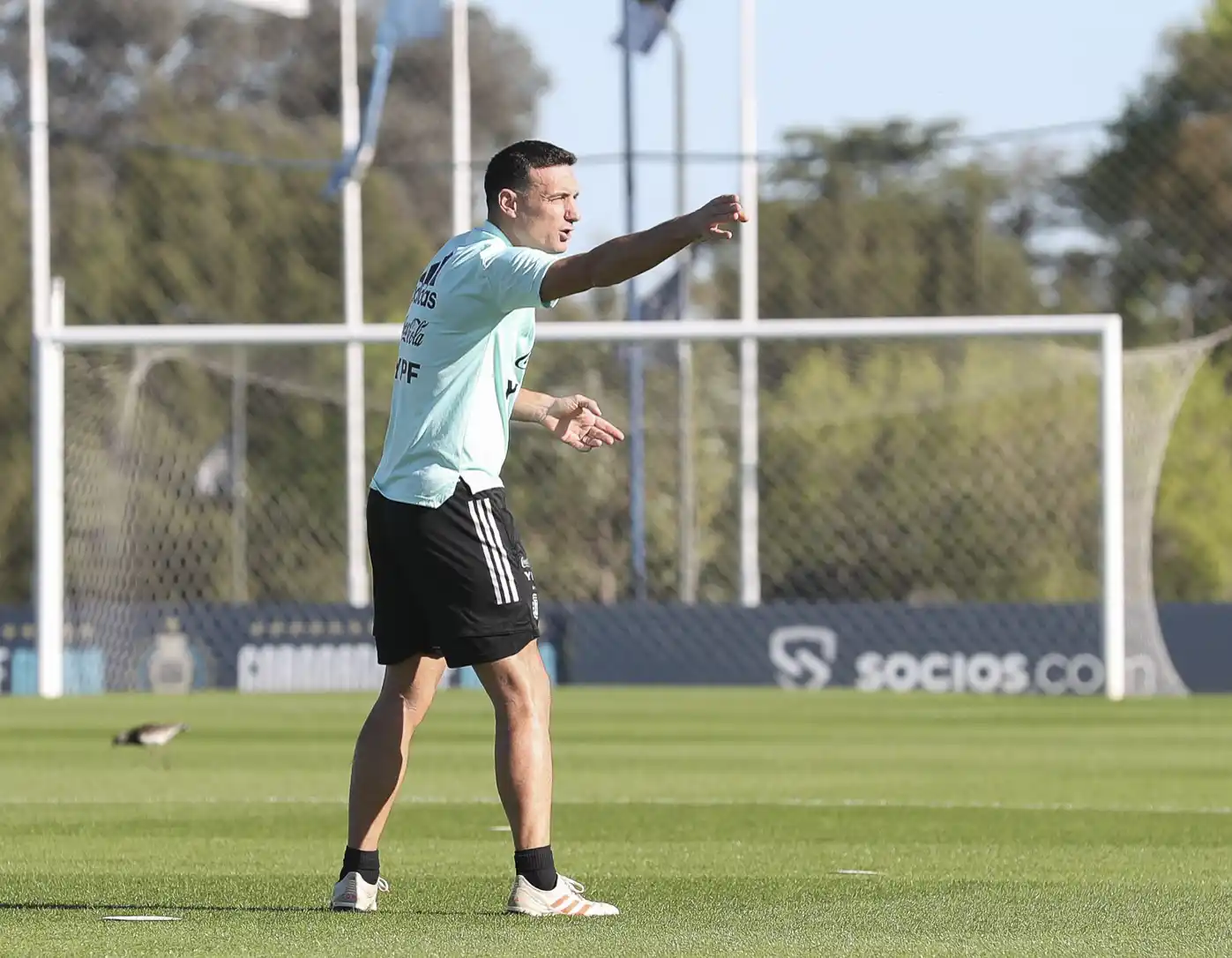 Scaloni tendrá parte del plantel en la práctica de hoy.