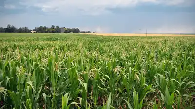 El voto del campo y los mercados: señales de un nuevo escenario